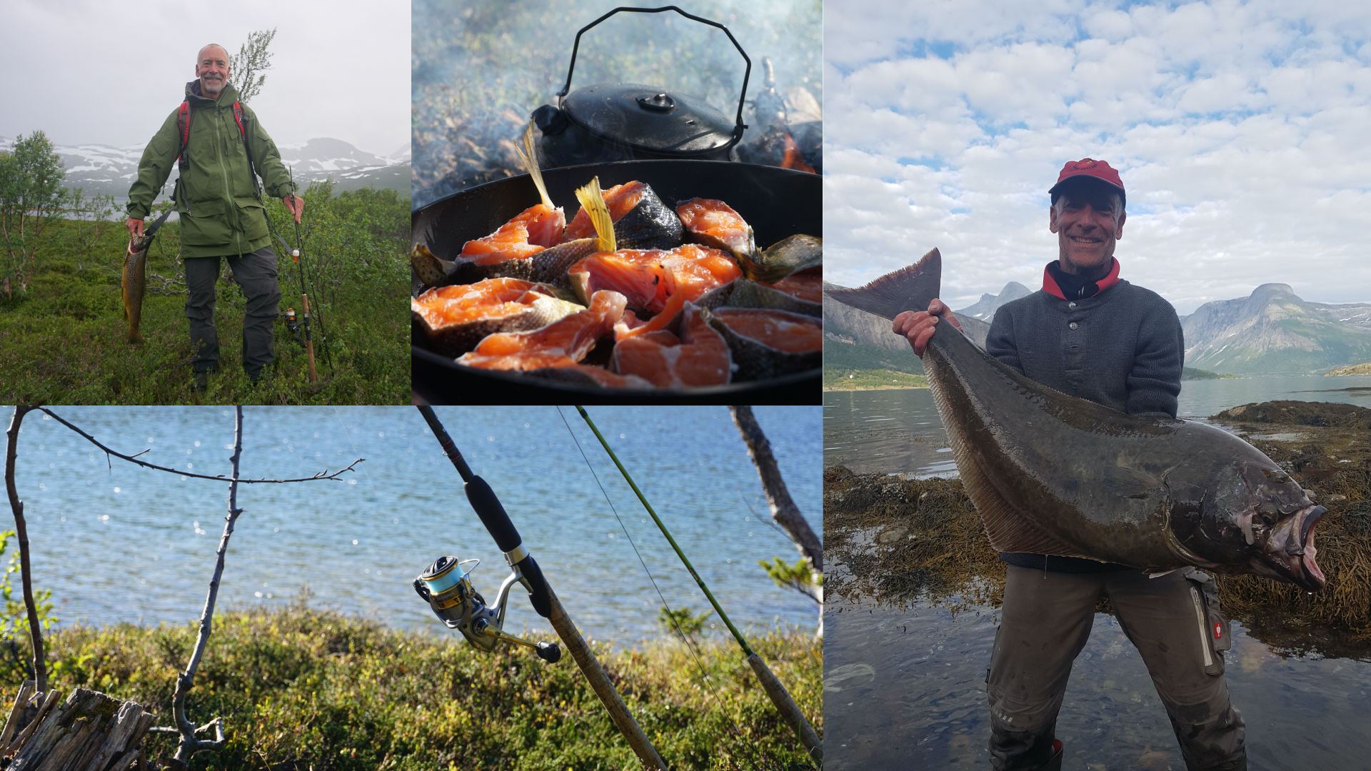 Hunder som står klare for å starte med å dra et spann